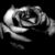 :iconartlova992: