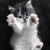 :iconartlover130: