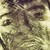 :iconartofbeyond: