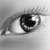 :iconartofdoves: