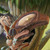 :iconartoflanatra: