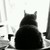 ArtOfTheFox :iconartofthefox: