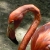 :iconartographe: