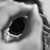 :iconartophotography: