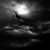 :iconartpainter: