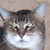 :iconartproducer95: