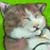 :iconartpuppy7054: