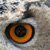:iconartquestfan: