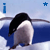 :iconartrule159: