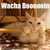 :iconartsiediva92: