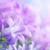 :iconartsycrat778: