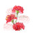 :iconartvectoryar: