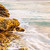 :iconartwater1467: