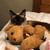 :iconartwrxbycatwrx: