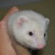 :iconartyjax: