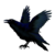 ArtyomDesign :iconartyomdesign: