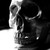 :iconartysized: