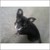 :iconartzing44: