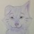:iconaruadragon: