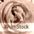 ArumStock :iconarumstock: