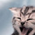 :iconarve-ni-arvedha: