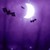 :iconarvind9118: