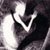 :iconarvinger: