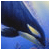:iconArwenRivendell: