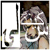 ArwenSol :iconarwensol:
