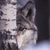 :iconarwulf: