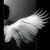 :iconarxaggelos75:
