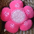 :iconaryanforsale: