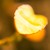 :iconaryas2: