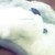 :iconarycute: