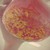 :iconarystarain: