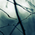 :iconas-the-stars-align: