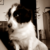 :iconasabiphotography: