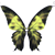 :iconasad-aria: