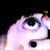 :iconAsahi-chan: