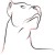 :iconasasi83: