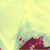 :iconaseities: