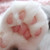 :iconaserendipity: