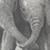 :iconasevela: