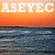 :iconASEYEC:
