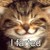 :iconash-jayfeather: