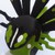 :iconash-satoshi: