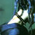 :iconash-the-pokemon: