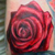:iconash2ashes: