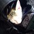 :iconashaki11: