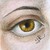 :iconashara1: